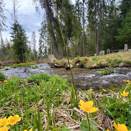 Apartment In Tatranska Strba/Near Strbske Pleso With Free Parking エクステリア 写真